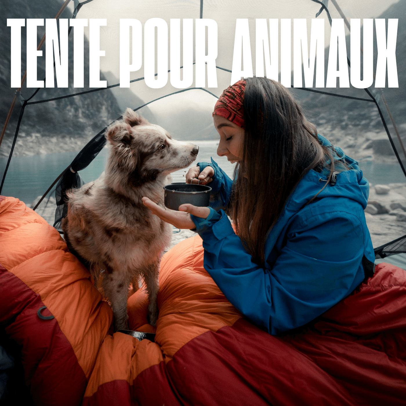 tente pour animaux