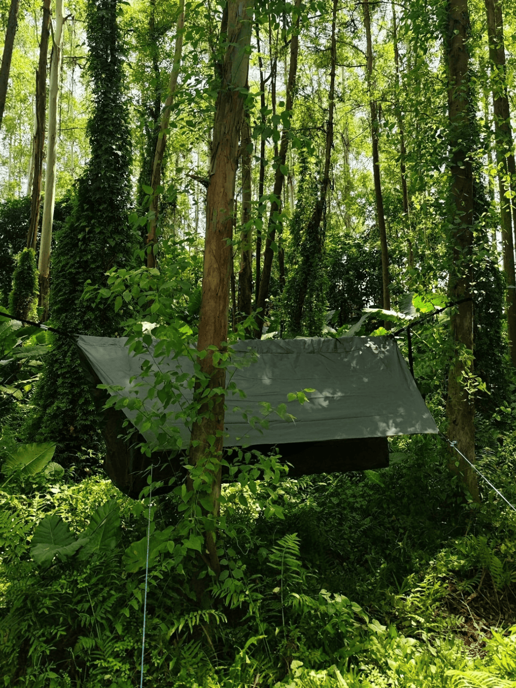 Tente à suspendre | Dormez confortablement en hauteur