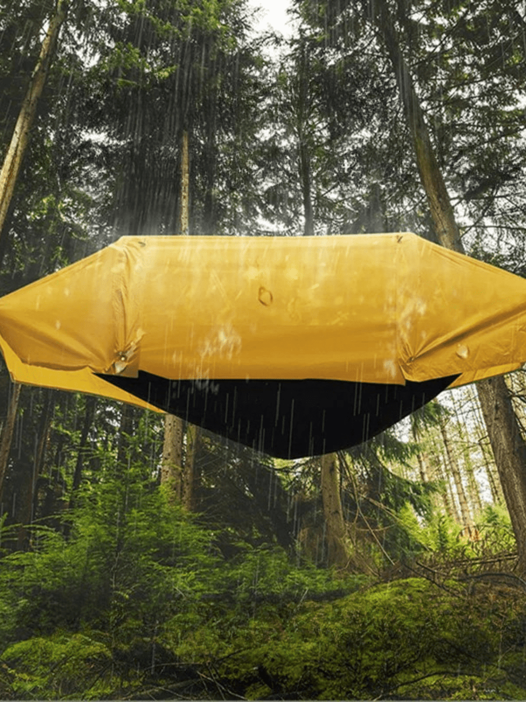 tente hamac suspendu