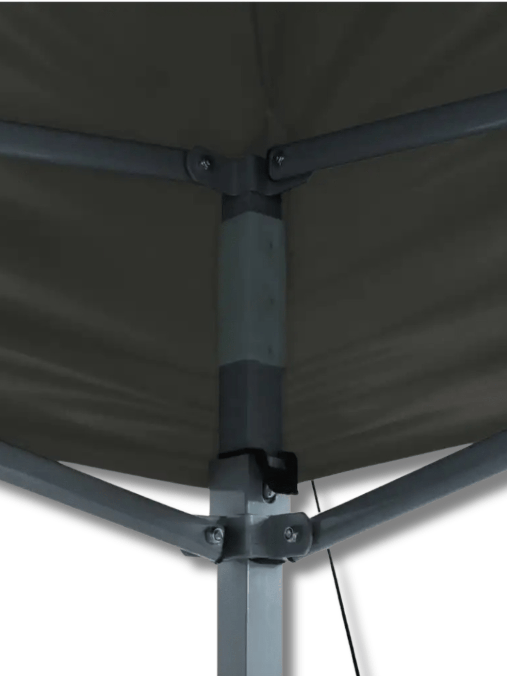 tente paddock pliante