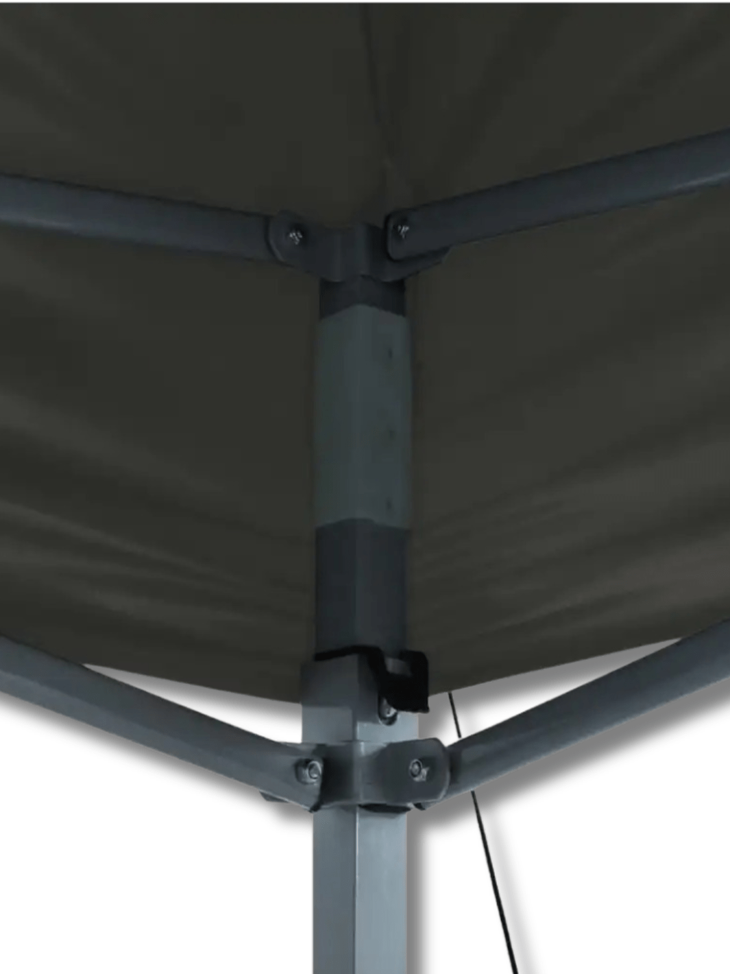 tente paddock pliante