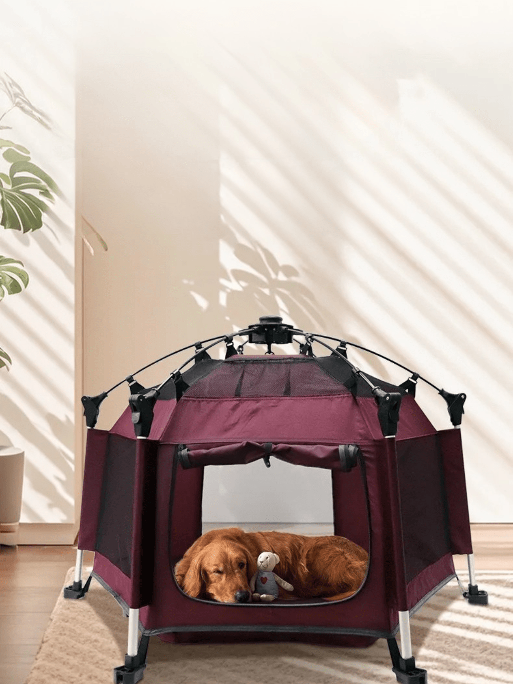 tente pour animaux de compagnie