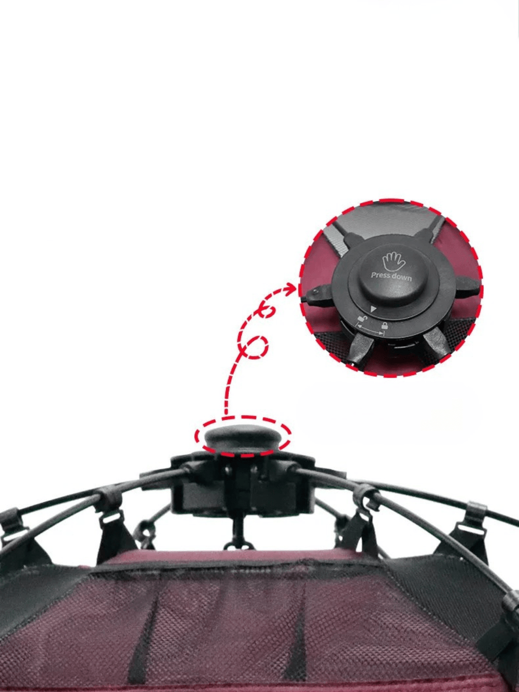 tente pour animaux de compagnie