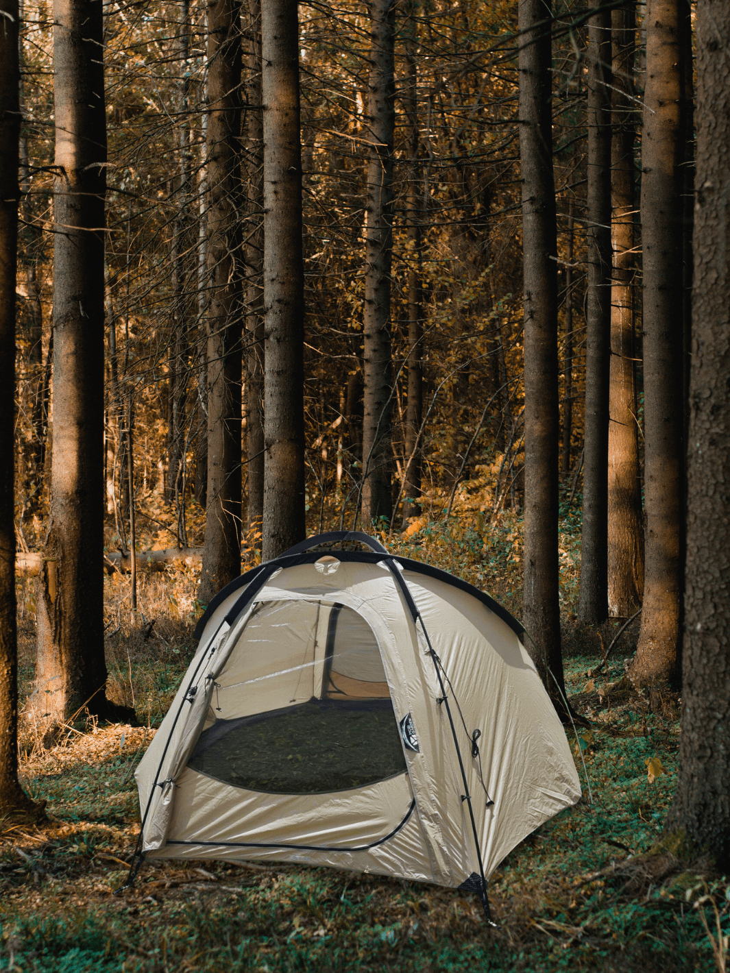 toile de tente 3 places