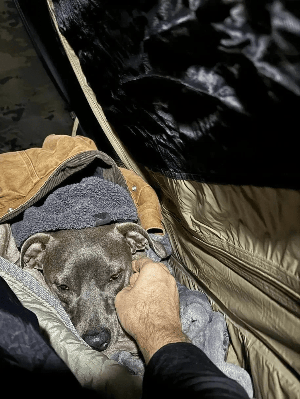 toile de tente bivouac