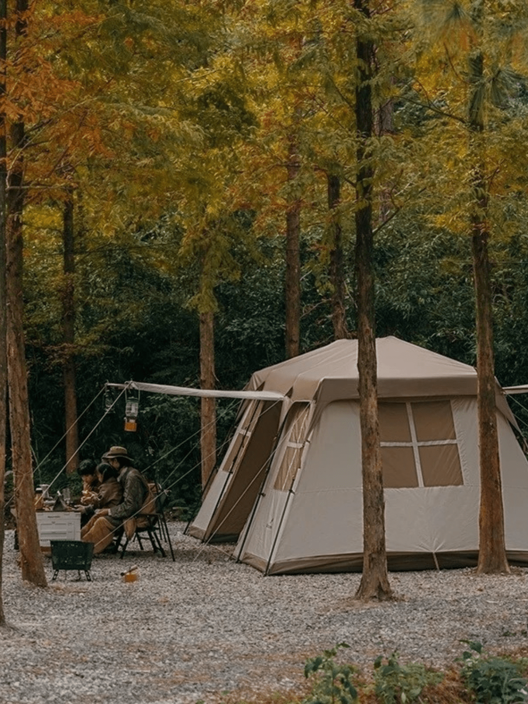 toile de tente camping