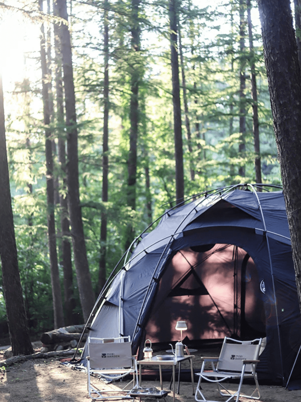 toile de tente fresh and black