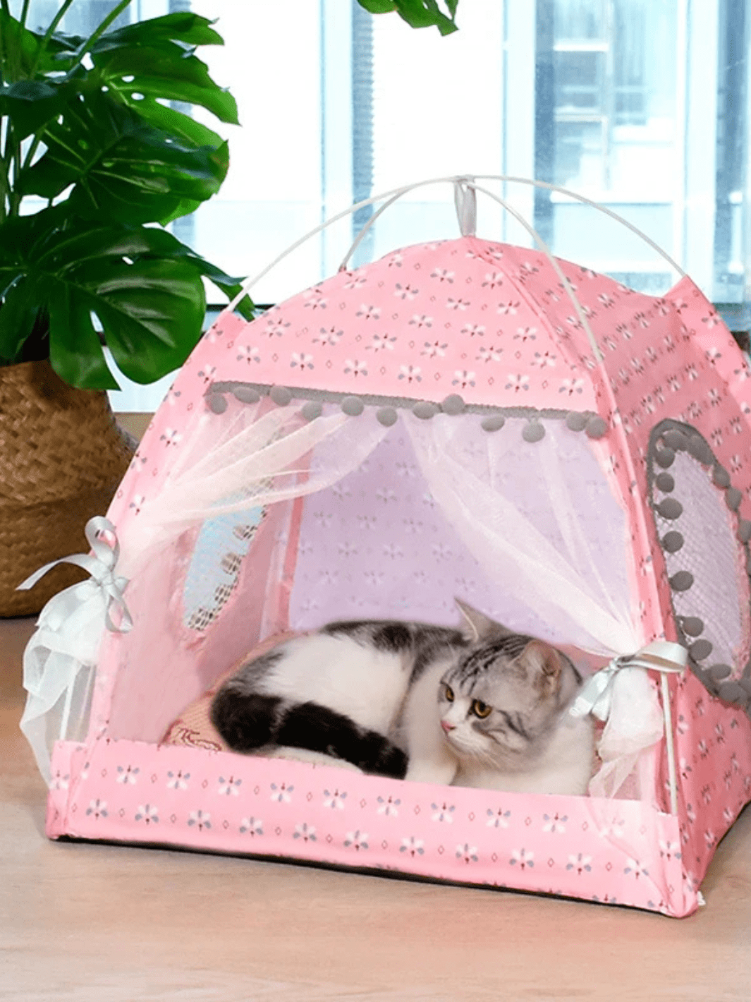 toile de tente pour chat